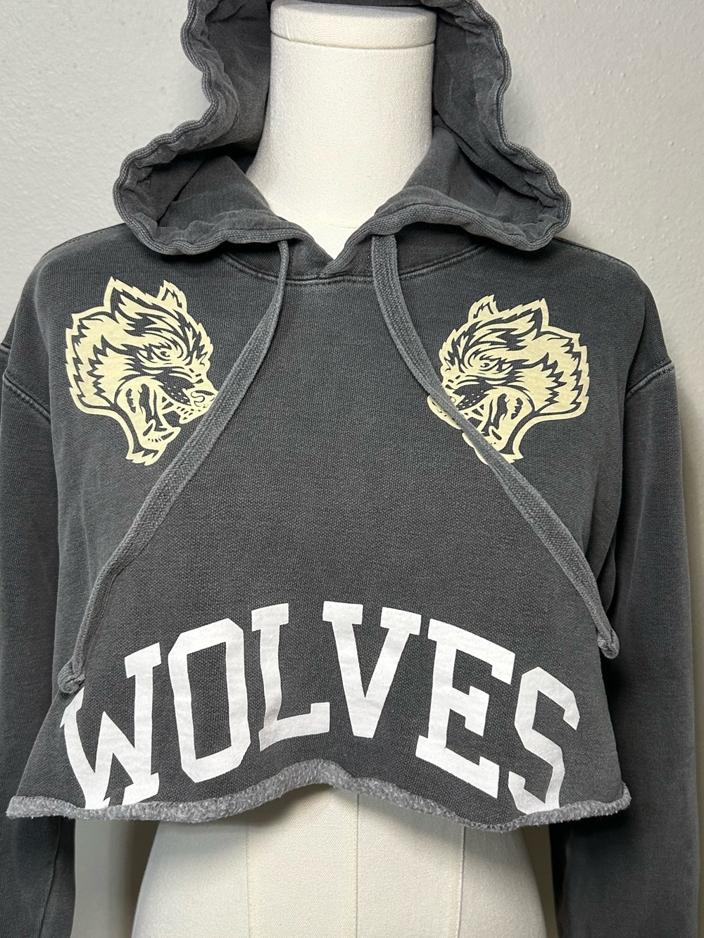 Darc Sport SHE Wolves Cropped Hoodie Gray